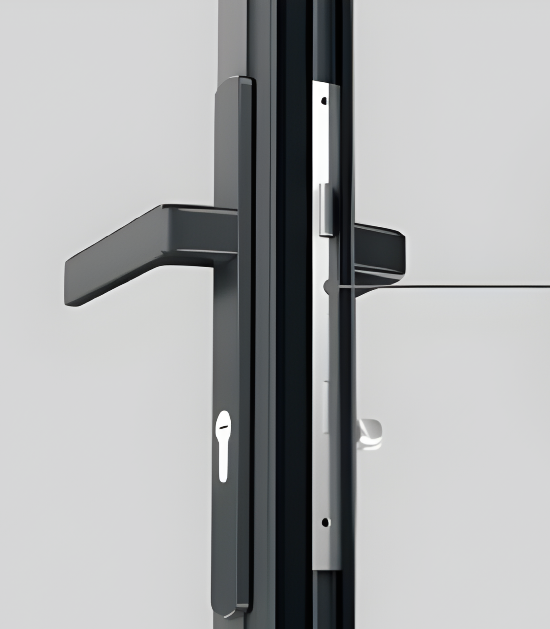 VLX 100 Swing / Entry Door in Las Vegas, NV | Viewlux Windows And Doors Paradise NV — detail 5